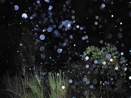 orbs at night.jpg